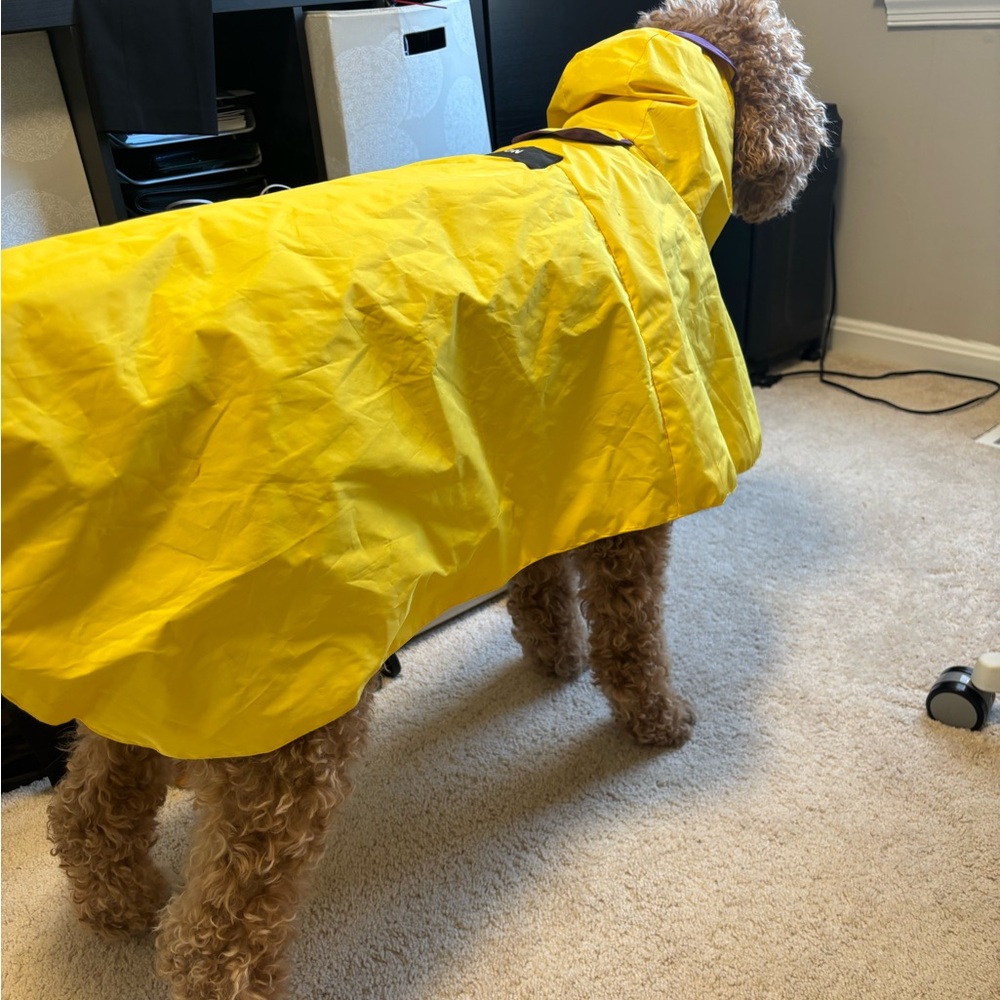 Yellow Waterproof Dog Poncho rain jacket